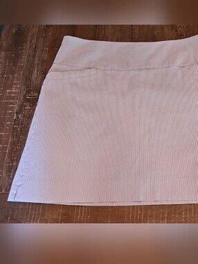 S.C. & Co. Plus Size Striped Mini Skort in Light Blue and White